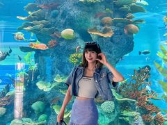 -福州罗源湾海洋世界旅游区