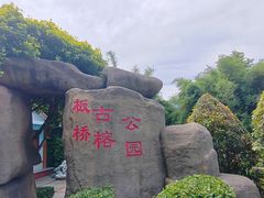 -古榕公园