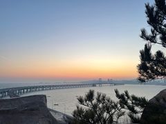-大连森林动物园游乐场-售票处