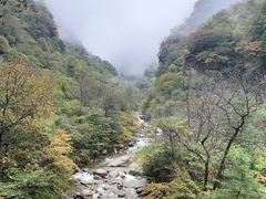 -青峰峡国家森林公园