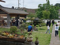 -马村鱼头