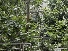 -Pasha帕夏土耳其餐厅(南昌路店)