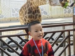 -泉州海丝野生动物世界