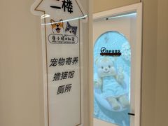 -唐小姐の私宠·宠物洗护美容·撸猫馆·购宠(周浦万达旗舰店)