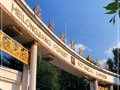-黑龙江省森林植物园