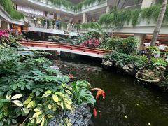 -广州白天鹅宾馆