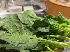 -龍歌自助小火锅(市南金茂湾店)