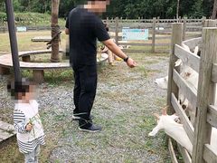 -前小桔亲子创意农场·草莓采摘·露营烧烤