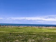 -青海湖国家重点风景名胜区