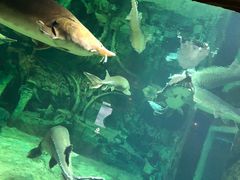 -华夏文旅海洋公园