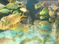 -波塞冬旅游度假区