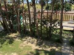 -乌石塘景区