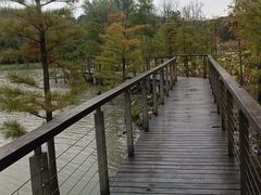 -昆山城市生态森林公园