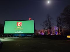 -枫花园汽车电影院(朝阳公园店)