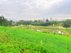 -白鹭湾湿地公园