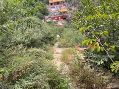 -辛安庄鸡鸣山景区