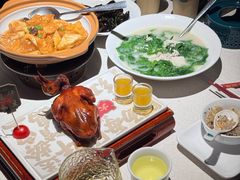 -大鸽饭(动物园店)
