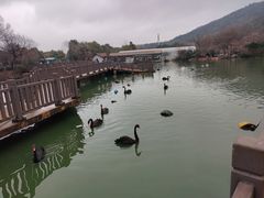 -无锡动物园·太湖欢乐园