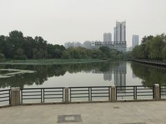 -月湖风景区