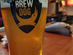 酿酒狗朋克IPA-Blarney Stone巧言石爱尔兰酒吧