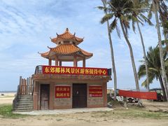 -东郊椰林