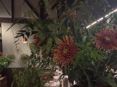 -Apollo·西班牙小酒馆(安福路店)