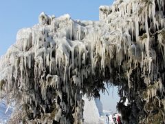 -丁香湖丁香小镇Citypark滑雪公园戏雪嘉年华