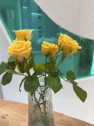 -薇薇安花系SPA