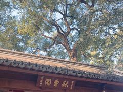 -秋霞圃