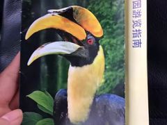 -新加坡飞禽公园