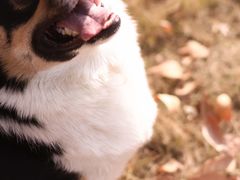 -济南国际园博园