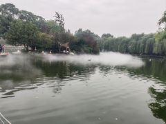 -成都动物园