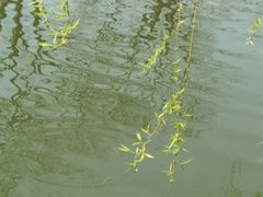 -白塘生态植物园