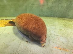 -泉城欧乐堡海洋极地世界