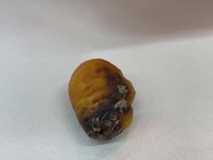 -阿男野栗王(金门路店)