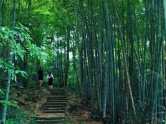 -金鸡山公园