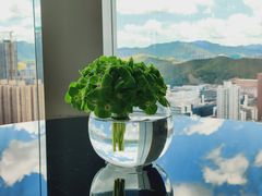 -君悦酒店·大堂酒吧·高空下午茶·暮色微醺