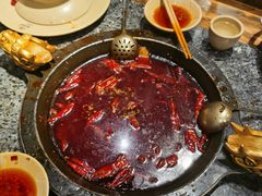 -蜀大侠火锅(建设路第五大道店)