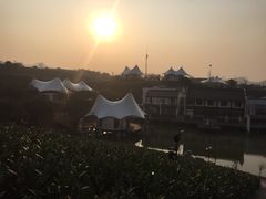 安吉帐篷客度假酒店-帐篷客·溪龙茶谷度假酒店