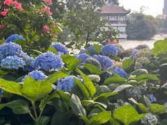 -荔湾博物馆