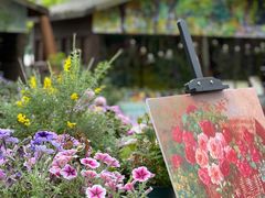 -上海共青森林公园