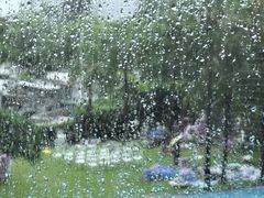 -希尔顿南海酒店·观廊大堂吧·海景下午茶