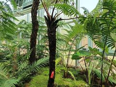 -国家植物园南园