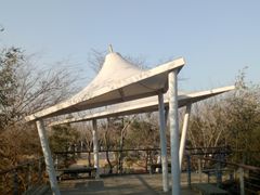 -刘家湾赶海园
