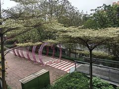 -佛山华盖山公园