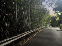 -广州市帽峰山景区