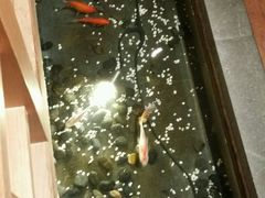 android_upload_pic-松子料理(亮马桥店)