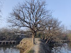 -西溪国家湿地公园