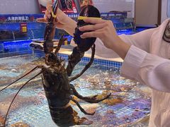 -驻海渔市(置信店)