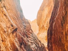 -天山神秘大峡谷